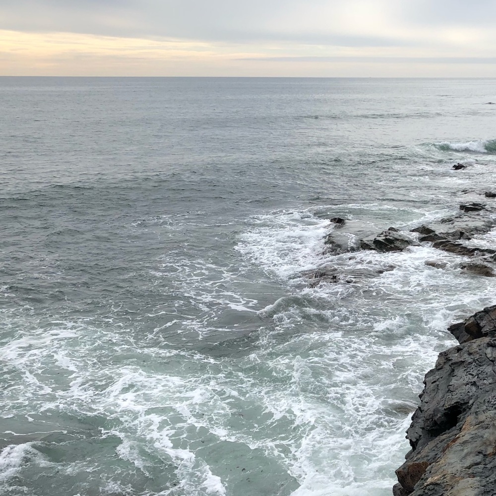 Meet your Posher, Walker